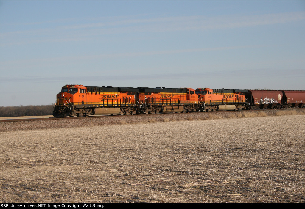 BNSF 8119